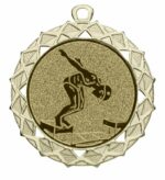 Zwemmedaille heren