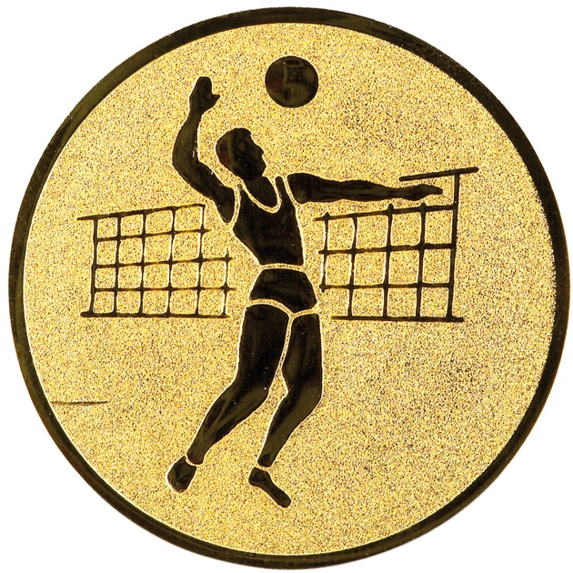 Volleybal