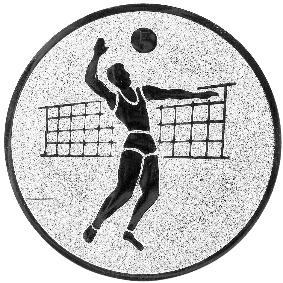 Volleybal