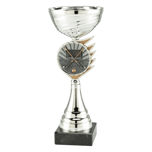 Grote hockey trofee