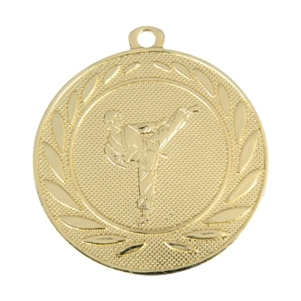 karate-medaille-Goud