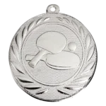 Tafeltennis medaille zilver
