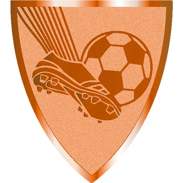 Voetbal brons shield