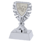 Voetbal trofee zilver